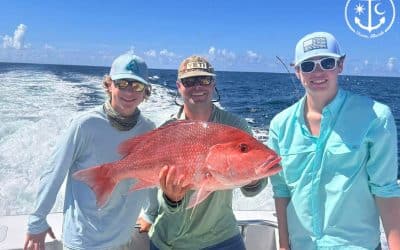 Best Fishing Techniques for Catching Snapper and Grouper