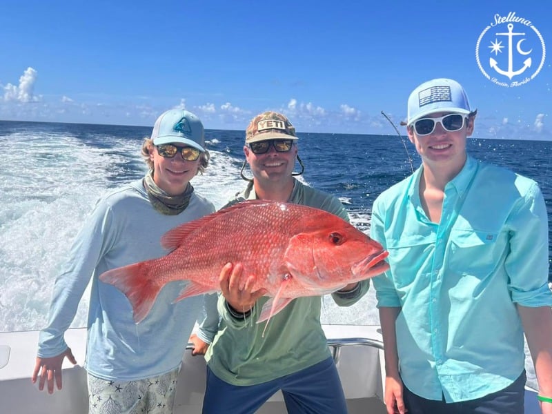 Best Fishing Techniques for Catching Snapper and Grouper