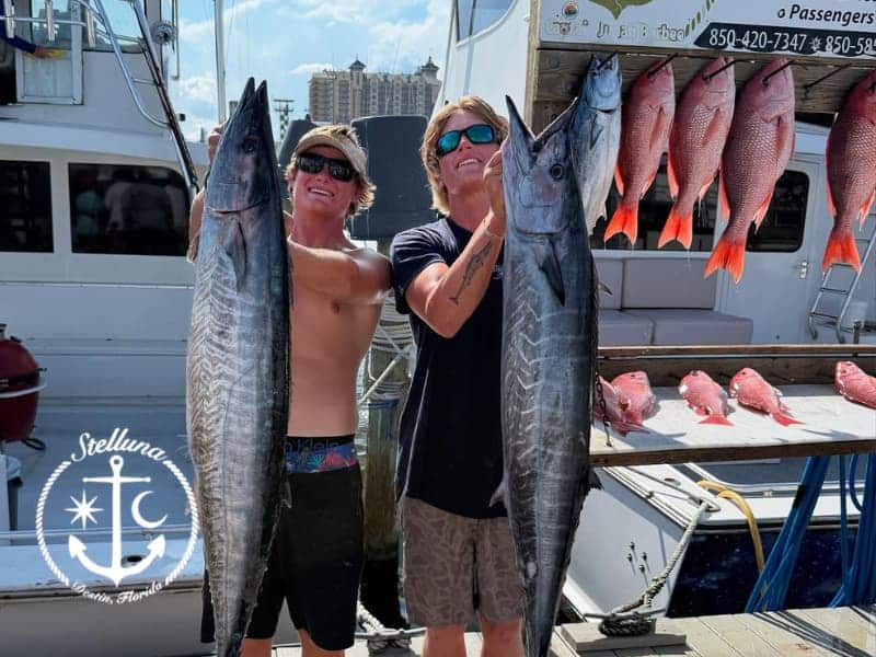 Top 5 Fall Fishing Destinations in Destin FL